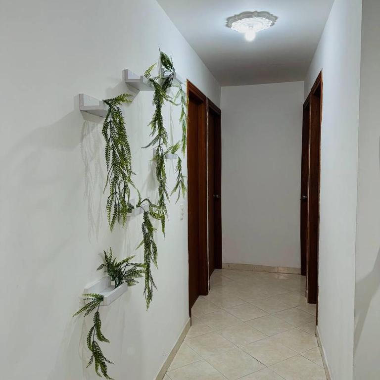 ESPECTACULAR APARTAMENTO SECTOR LAURELES ESTADIO 3 HABITACIONES hasta 7 personas - Apartamento Estándar de 3 dormitorios - 3