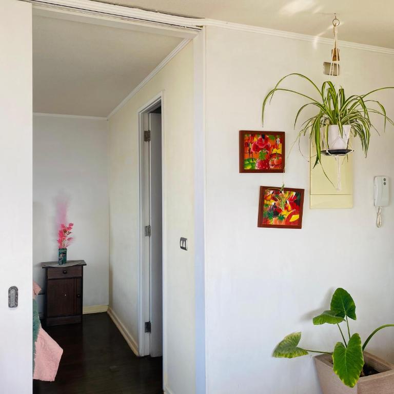 Departamento completo vista a la cordillera - Apartamento de 1 dormitorio - 4