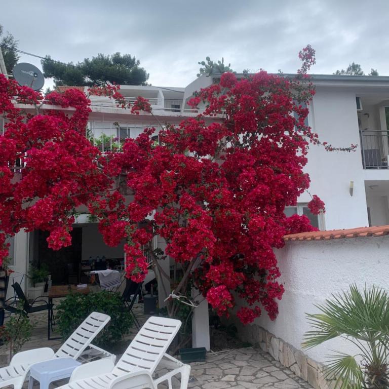 Apartments Ljiljana - Two-Bedroom Apartment with Balcony and Sea View - 36