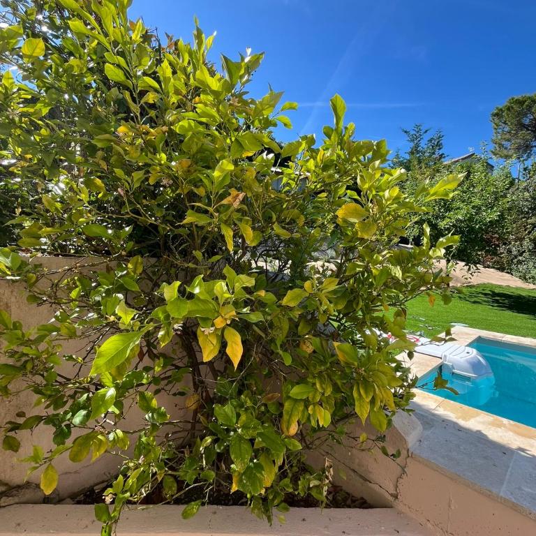 Villa au calme à Grasse avec piscine et spa privée - Villa 3 Chambres - 47