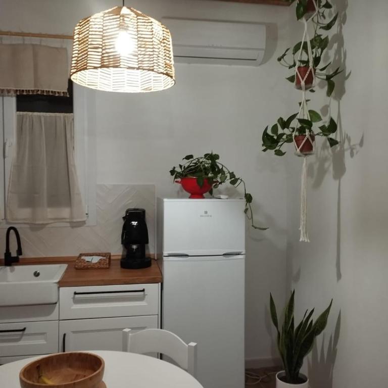 Mammì - Villa con 2 Camere da Letto - 20