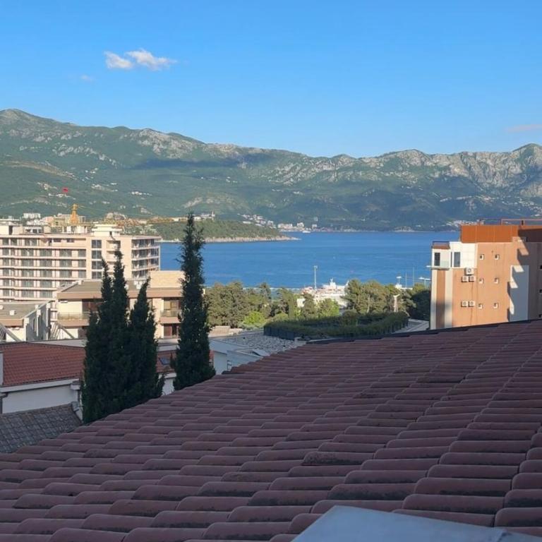 Apartman sa pogledom na more Budva - Apartman sa 1 Spavaćom Sobom - 10