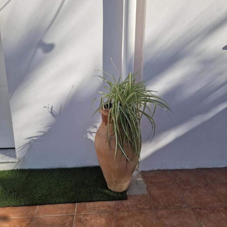 Mammì - Villa con 2 Camere da Letto - 41