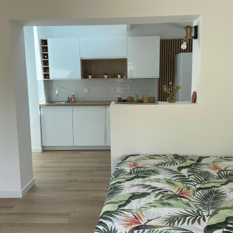 Calanque de Samena - Studio avec Terrasse - 9