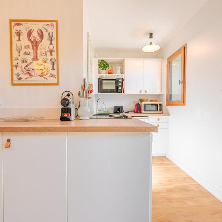 La Coquille / F3 de charme avec jardin privatif - Appartamento - 10