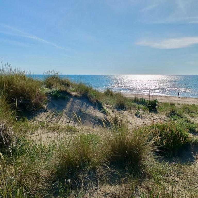 AYAPI - Appartement neuf 3 étoiles avec terrasse et jardin - bord de plage - Appartement 1 Chambre - Vue sur Jardin - 17