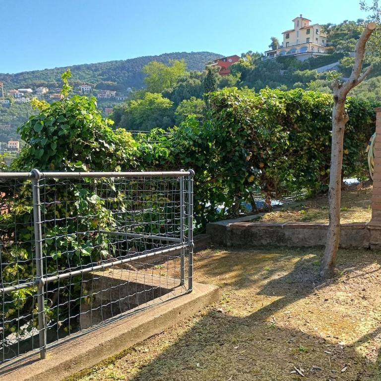 Sogno al mare con giardino e posto auto - Appartamento con 1 Camera da Letto - 7