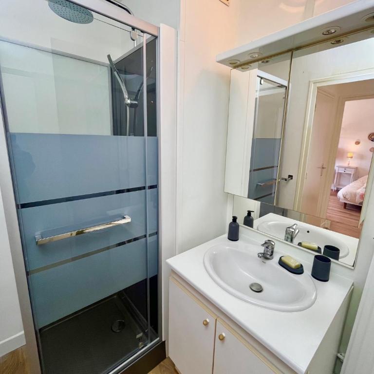 L'Hélios - T1 Bis - Bord de Sarthe - Apartment mit 1 Schlafzimmer - 5