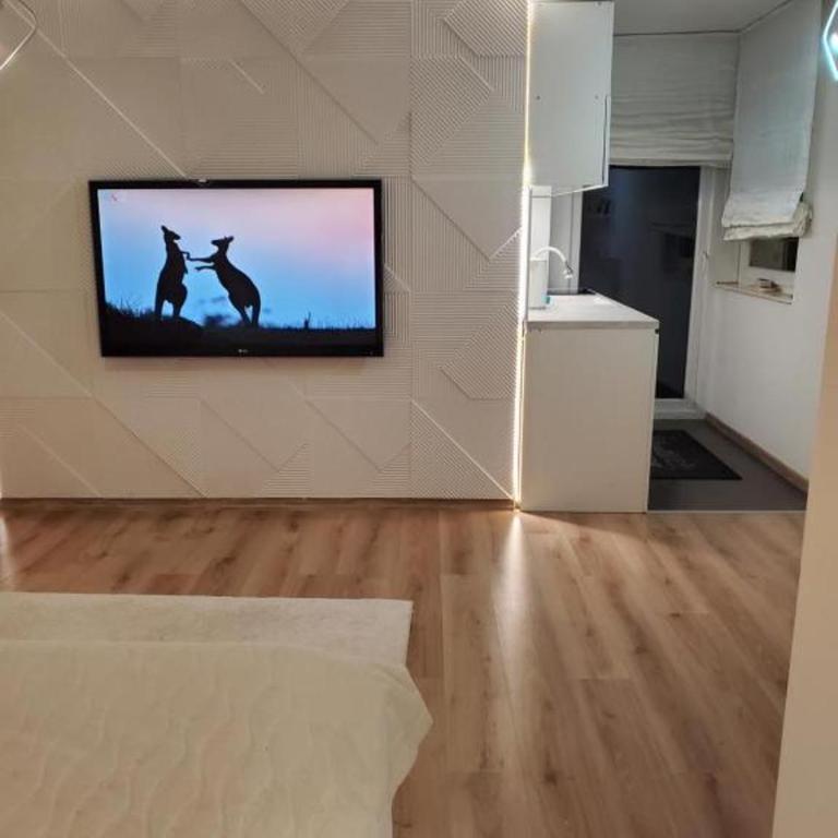 Sleep and drive loft - One-Bedroom Apartment - 6
