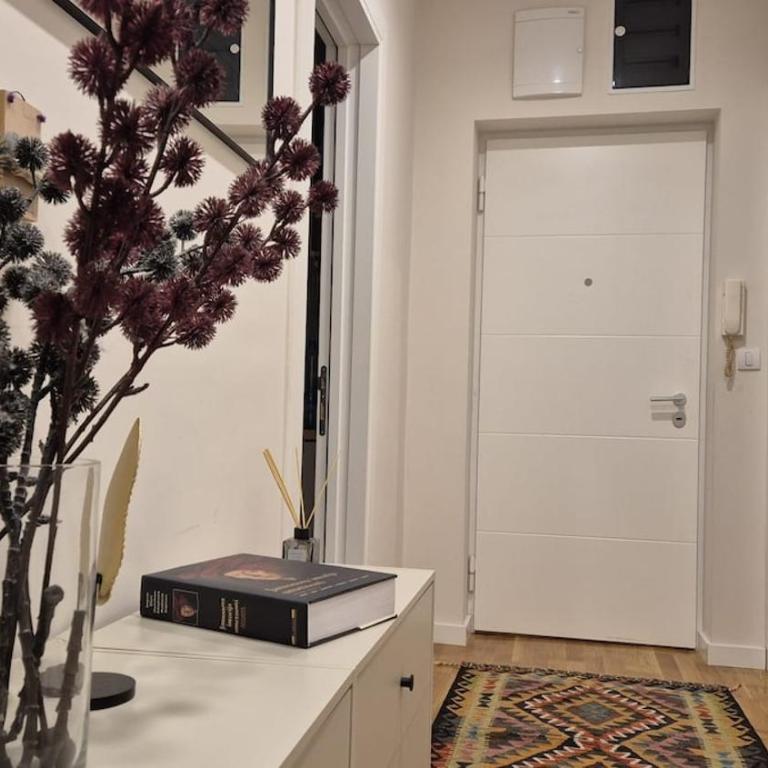 Luxurious apartment in the center of Belgrade - Apartman sa 2 Spavaće Sobe - 4