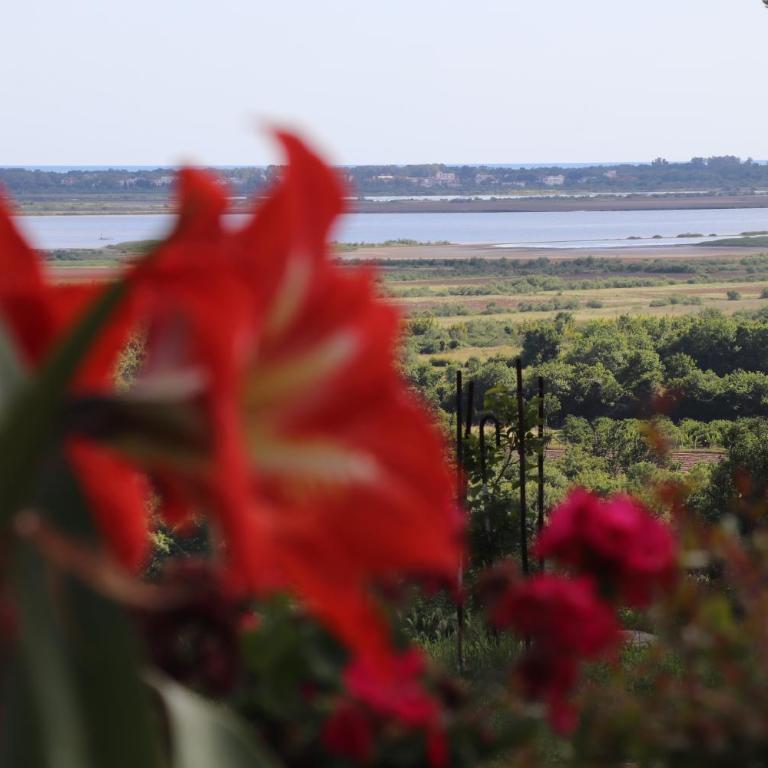 Panorama Hill Apartments Ulcinj - One-Bedroom Apartment - 17
