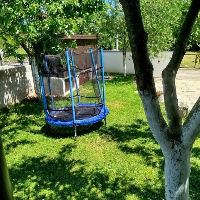 Kuća za odmor Noah - House with Swimming Pool - 11