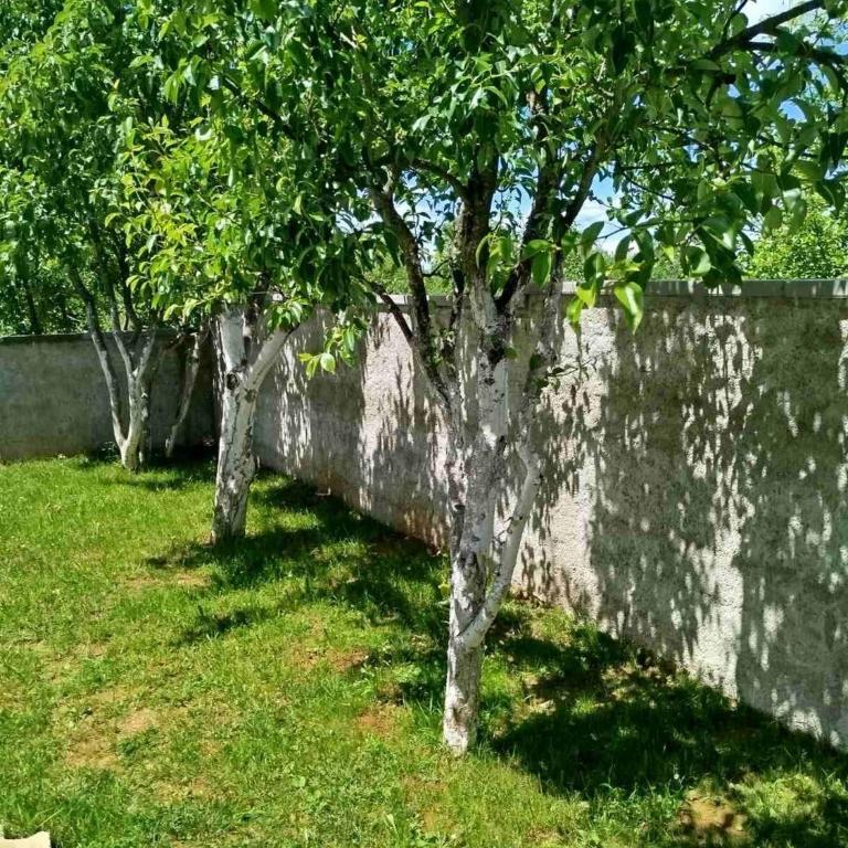 Kuća za odmor Noah - House with Swimming Pool - 14