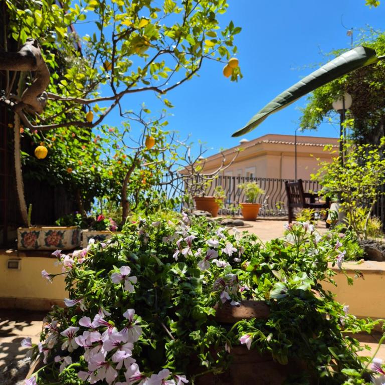 Casa Francesca Apartment - Appartamento - 24
