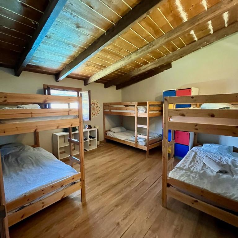 Adeje - TwinFin Hostel & Surf Yoga Camp - Cama Individual en dormitorio compartido de 6 camas - 5