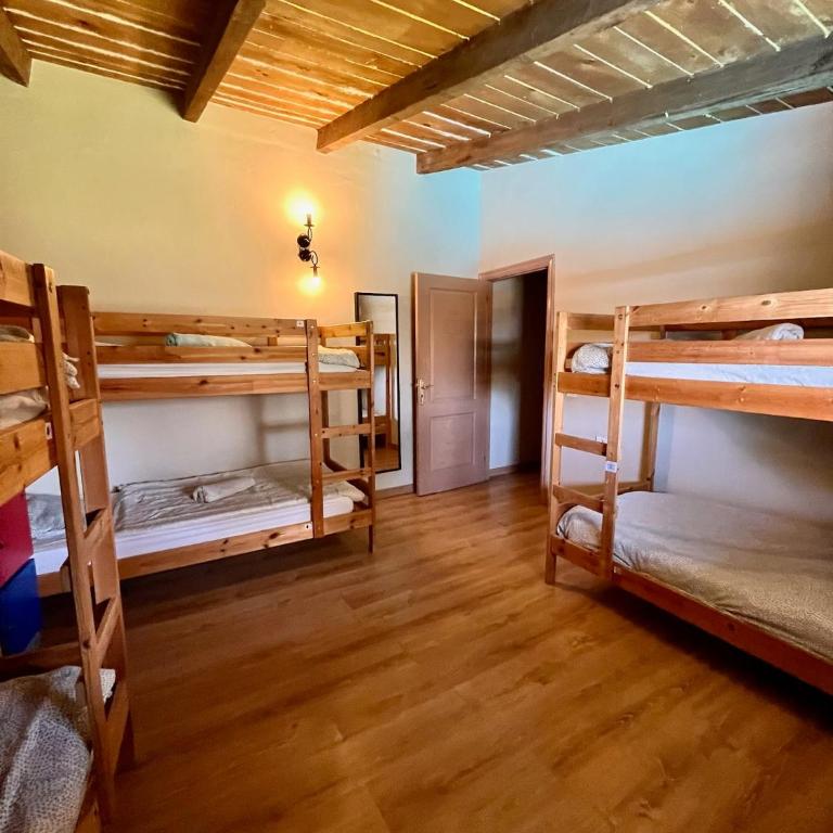 Adeje - TwinFin Hostel & Surf Yoga Camp - Cama Individual en dormitorio compartido de 6 camas - 6