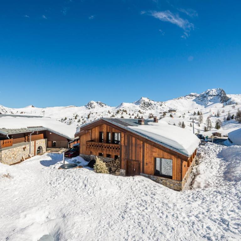 Chalet RIVA ski in-out Plagne Village - Chalet - 16