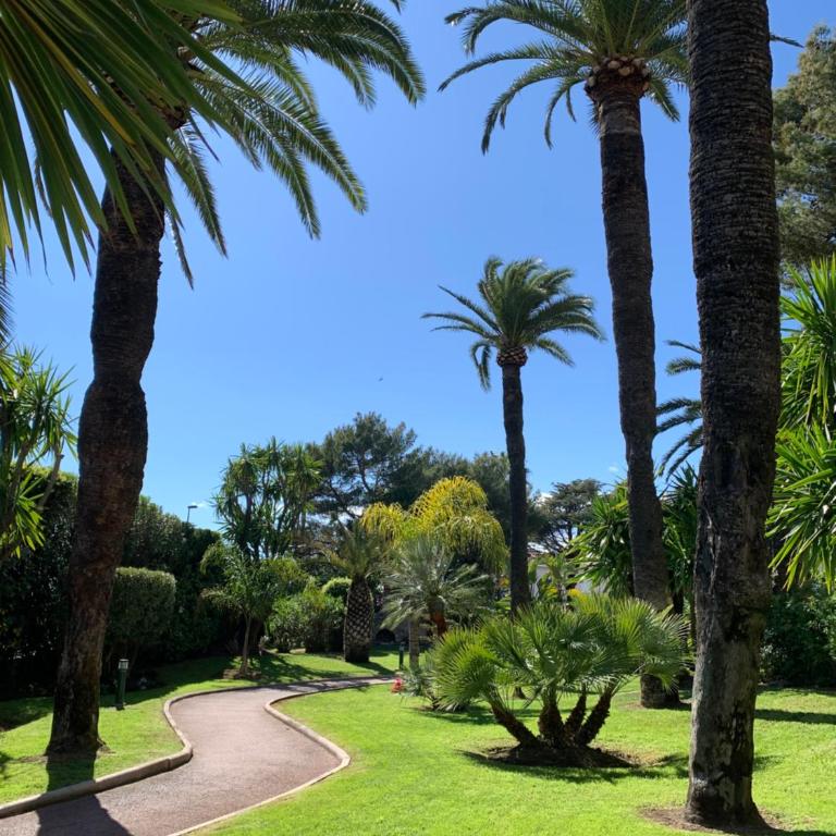 Appartement vue & front de mer, piscines, 55M2 2Pièces - Apartment mit 1 Schlafzimmer - 39