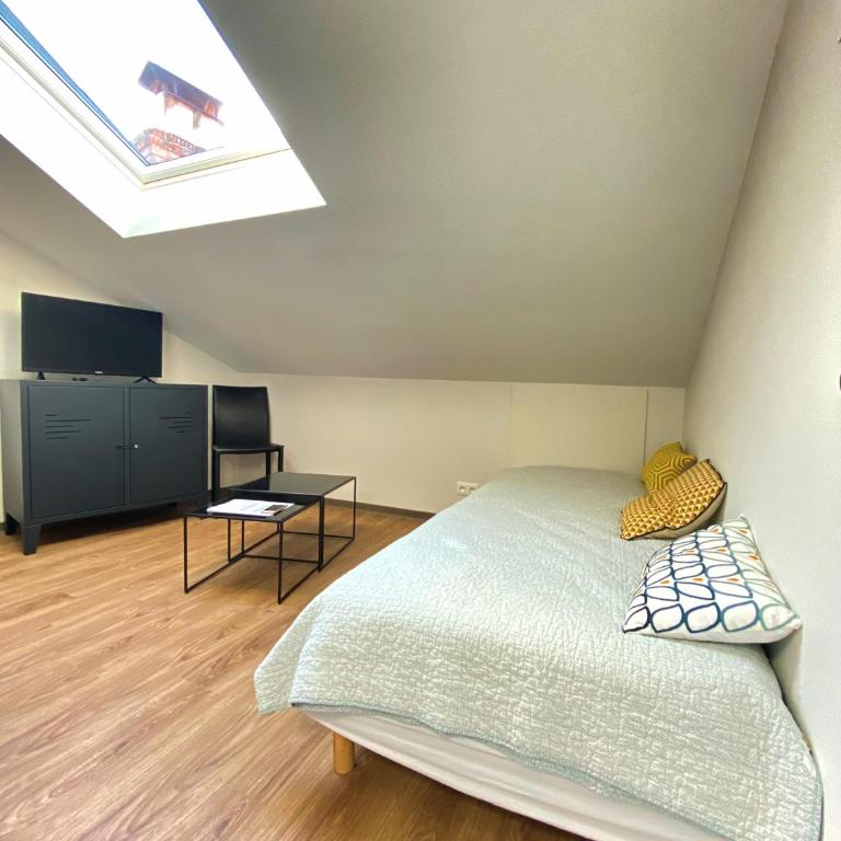 ALBIAPPART(2) - Appartement - 12