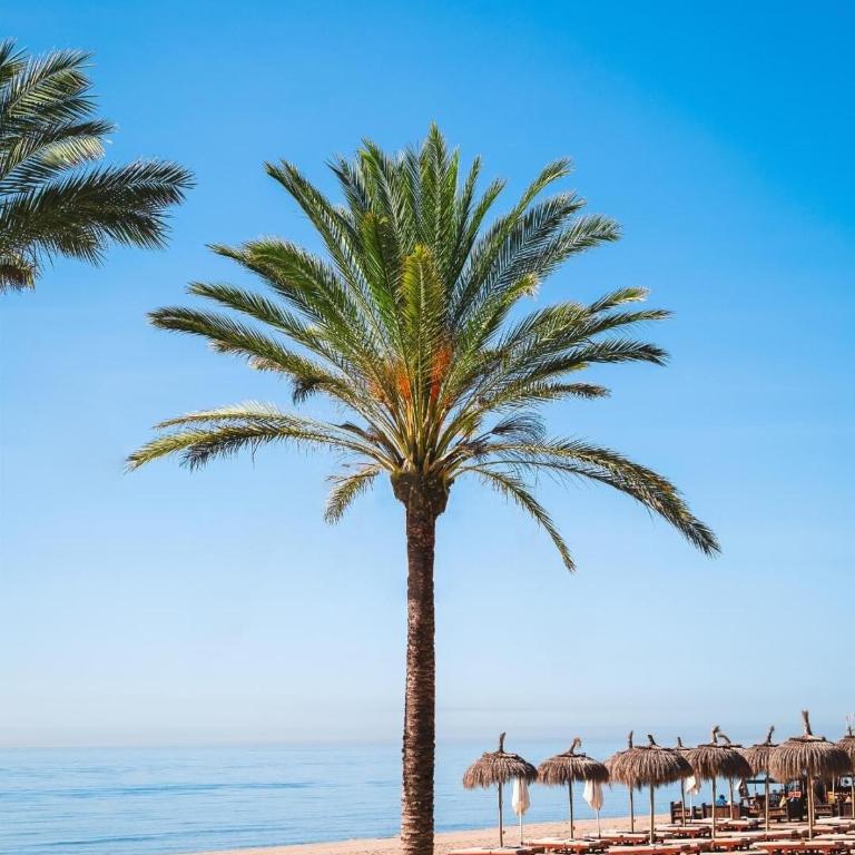 Denise Suite Banus - Apartamento de 1 dormitorio - 39