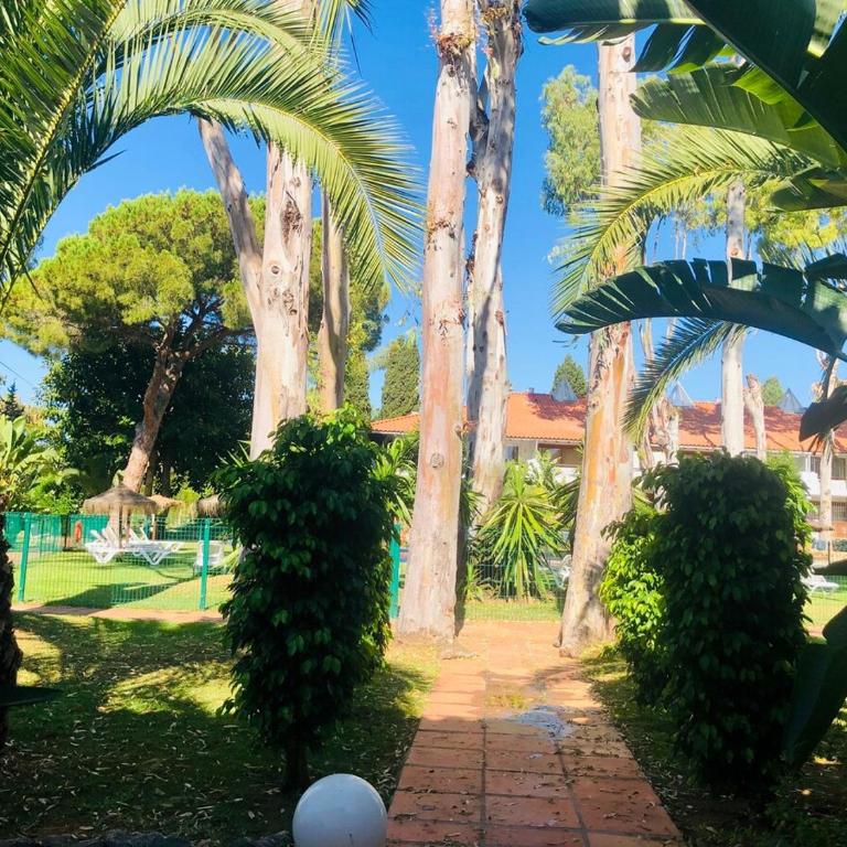 Denise Suite Banus - Apartamento de 1 dormitorio - 21