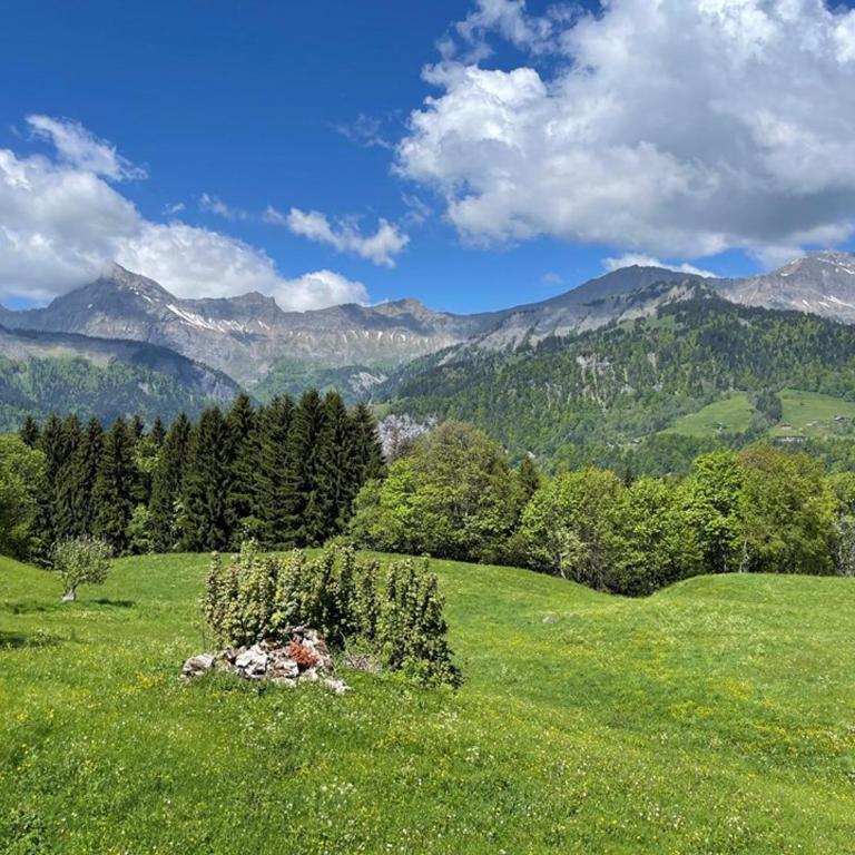 Appartement rénové, 6 pers, 2 ch + coin montagne, centre Crest-Voland, parking, skiroom, WIFI - Three-Bedroom Apartment - 17