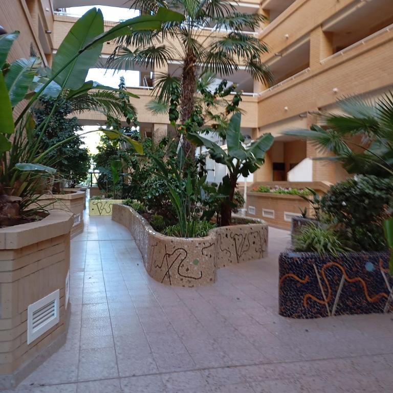 Apartamento Valparaíso en Magic World, Oropesa del Mar - Apartamento de 2 dormitorios - 34