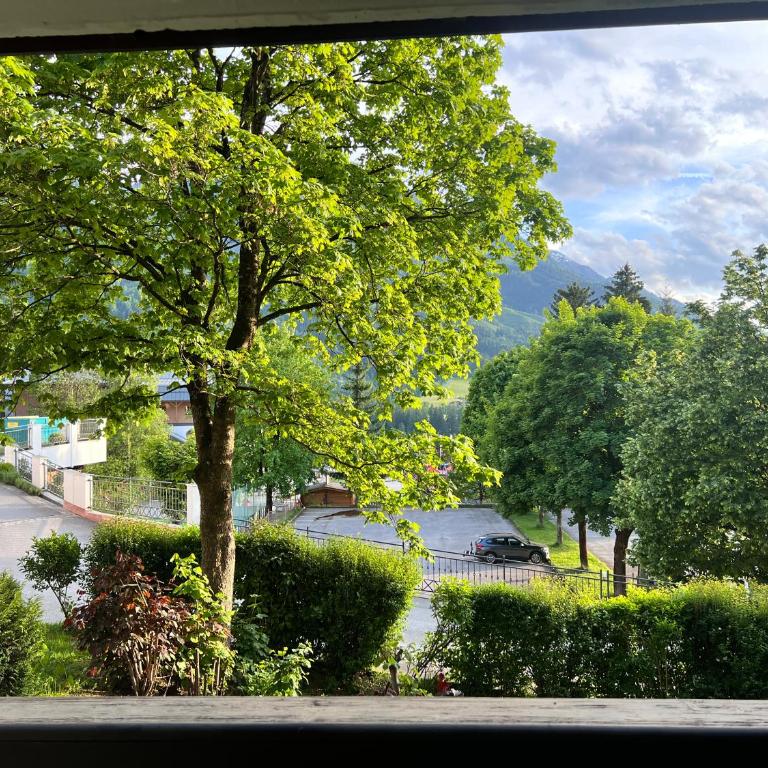 Apartment 8 Grüner Baum Alpendorf - Appartement 1 Chambre - 15