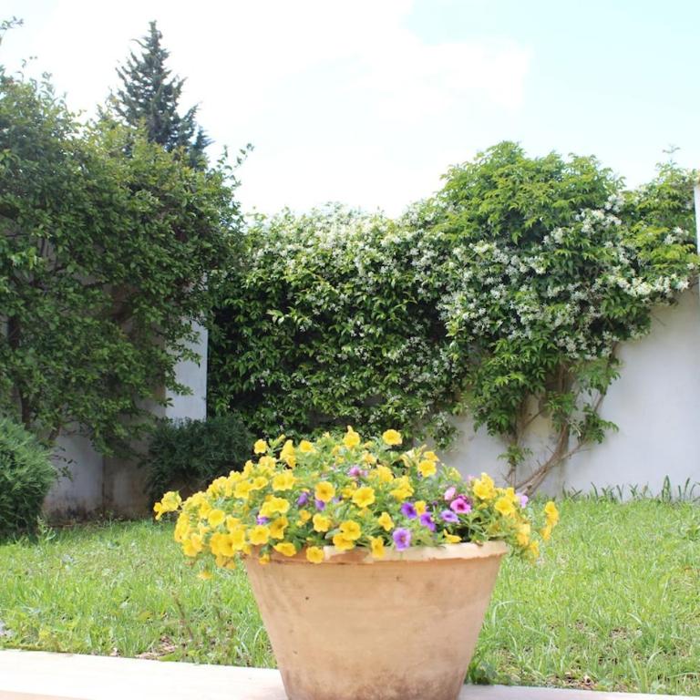 Dimora Bianca 64 - Villa con 1 Camera da Letto - 27