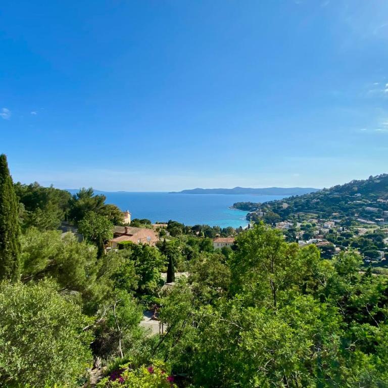 Bright apartment with terrace and sea view Le Lavandou - Appartamento con 1 Camera da Letto - 23