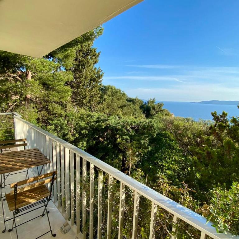Renovated 1-bedroom apartment with sea view and large balcony Aiguebelle - Appartamento con 1 Camera da Letto e Vista Mare - 23