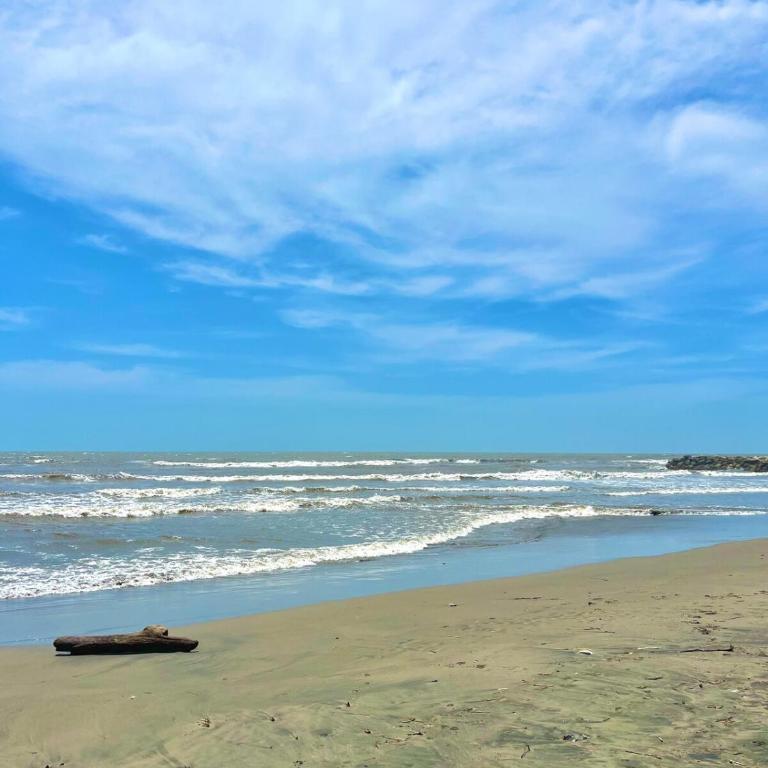 Beachfront Cabin with Private Pool - Villa - 3