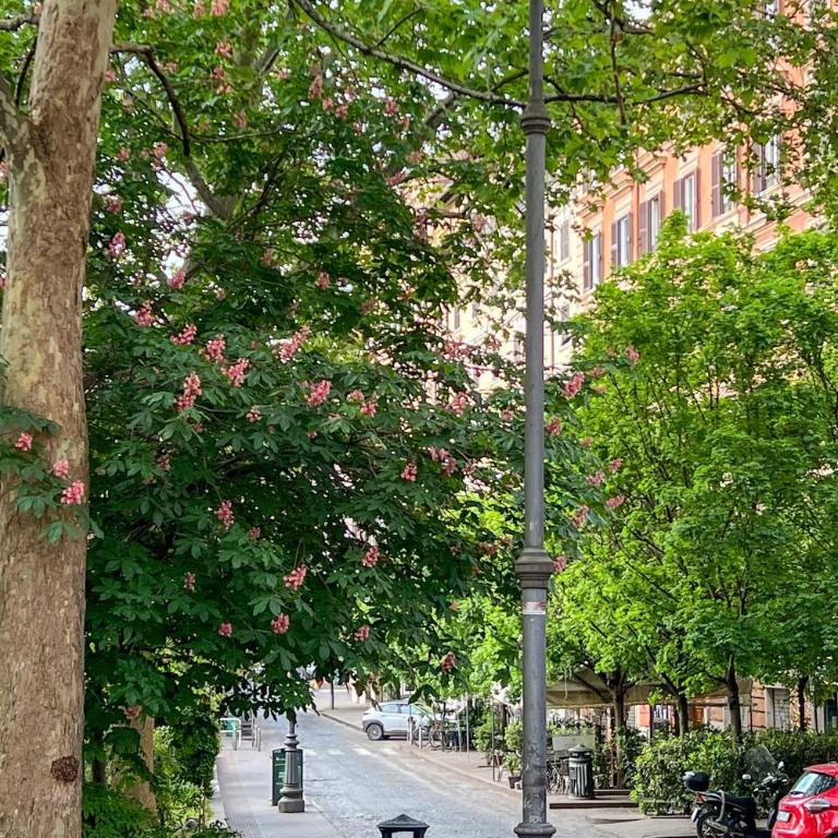 Trastevere Travertino Suite - Appartamento Premium con 5 Camere da Letto - 10