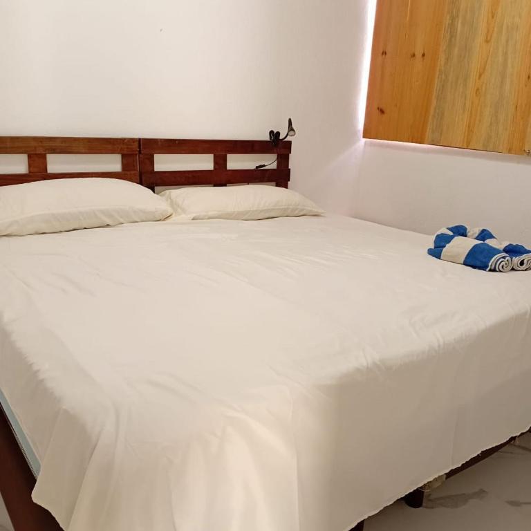 Tulum lovely space close to airport - Apartamento - 1
