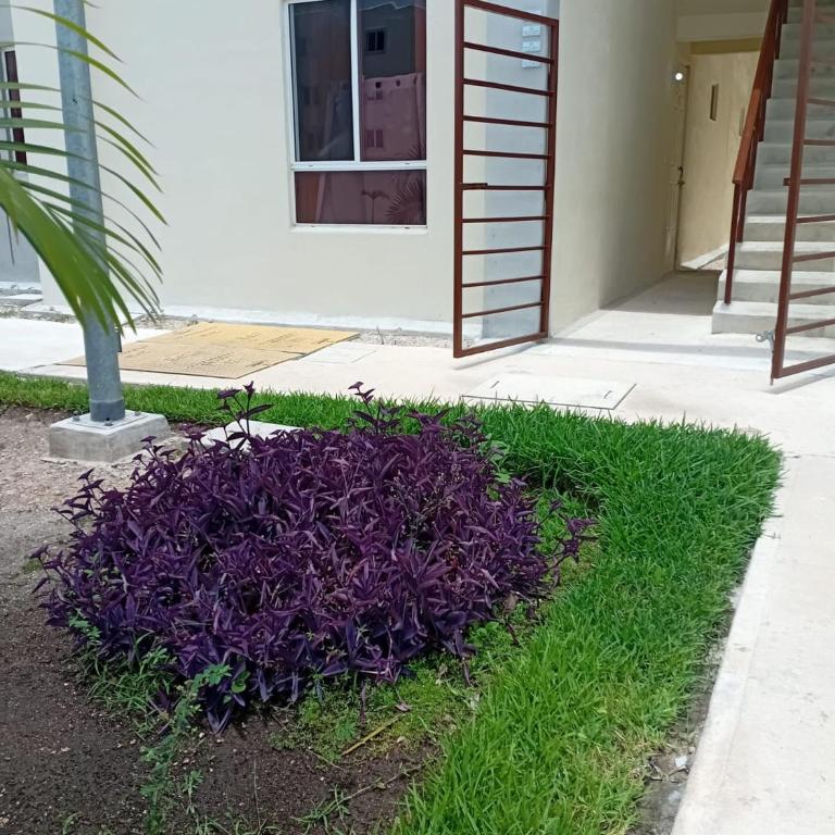 Tulum lovely space close to airport - Apartamento - 17
