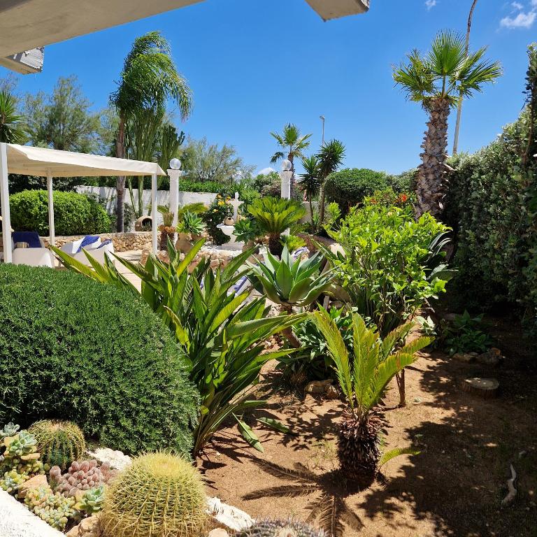Angolo di Paradiso - Casa Vacanze - 6