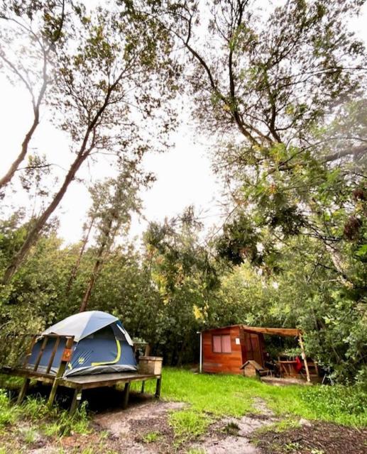 Kamp Nattivo - Habitación Doble - 1