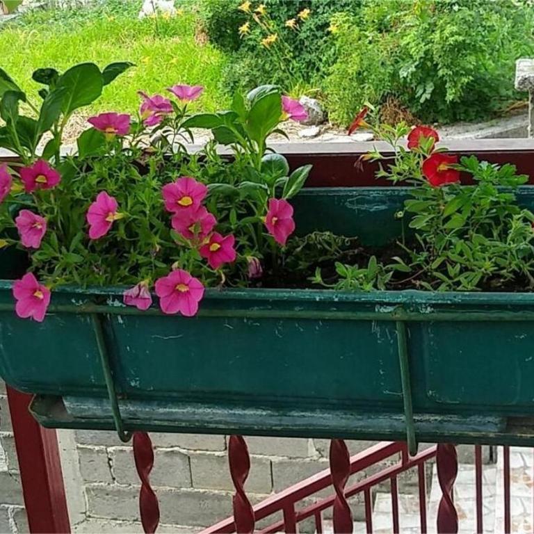 Old Town - Apartman sa 2 Spavaće Sobe - 26