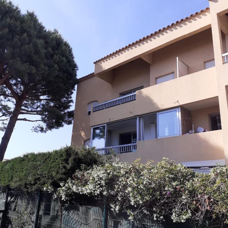 residence les Amaryliss - Appartement 1 Chambre - 1