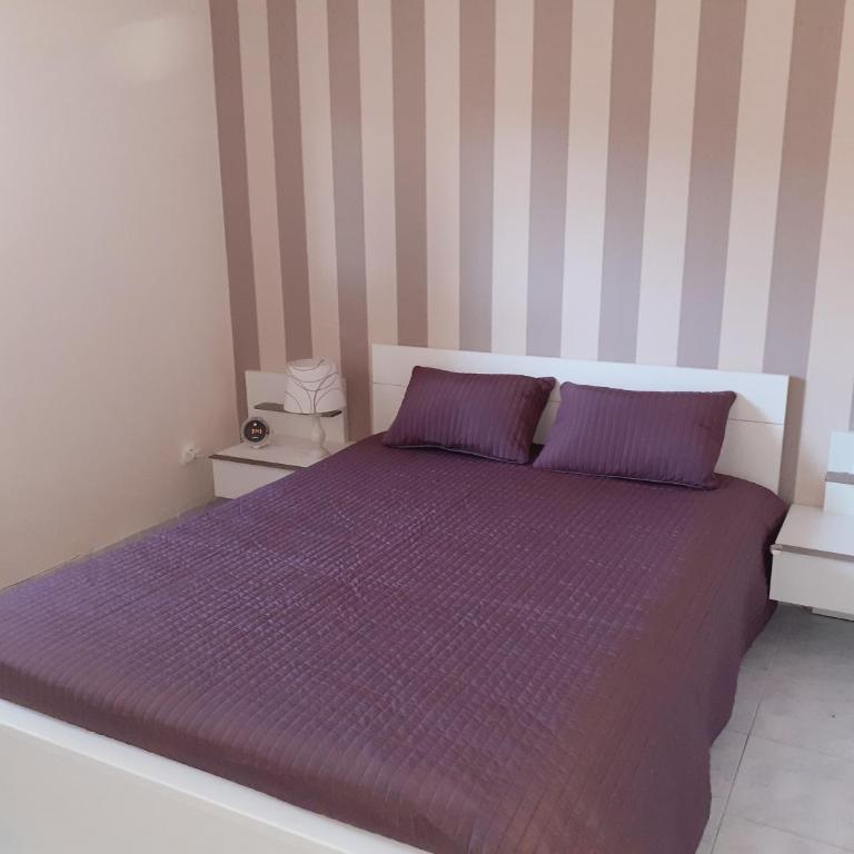 residence les Amaryliss - Appartement 1 Chambre - 4