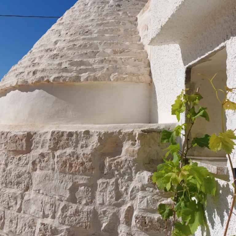 Trullo Terra Bianca - Villa - 43