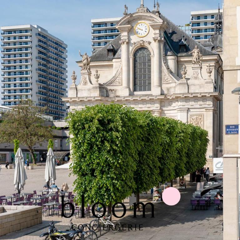 Le cocon Place du Marché Nancy coeur de ville - Apartment - 14