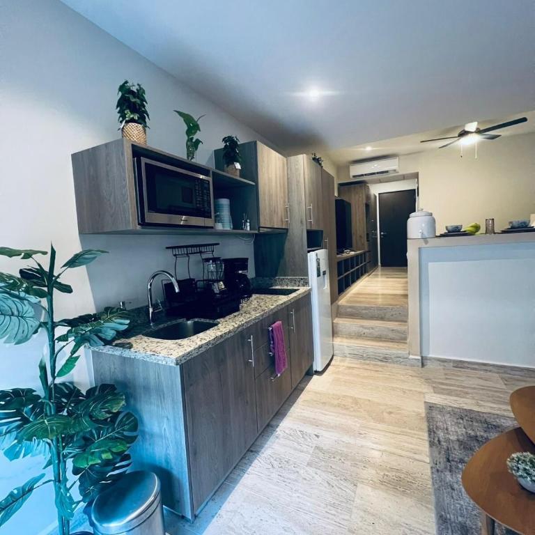 Luxurious studio, Playa del Carmen - Apartamento de 2 dormitorios - 9