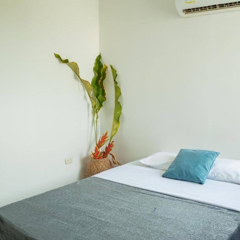 apartamento con alma 888 - Apartamento de 3 dormitorios - 14