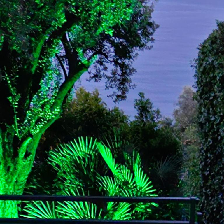 Roquebrune-Cap-Martin - Charmant 2 pièces - Vue Mer - Terrasse- Parking - Proximité Monaco et Plages - Appartement 1 Chambre - 11