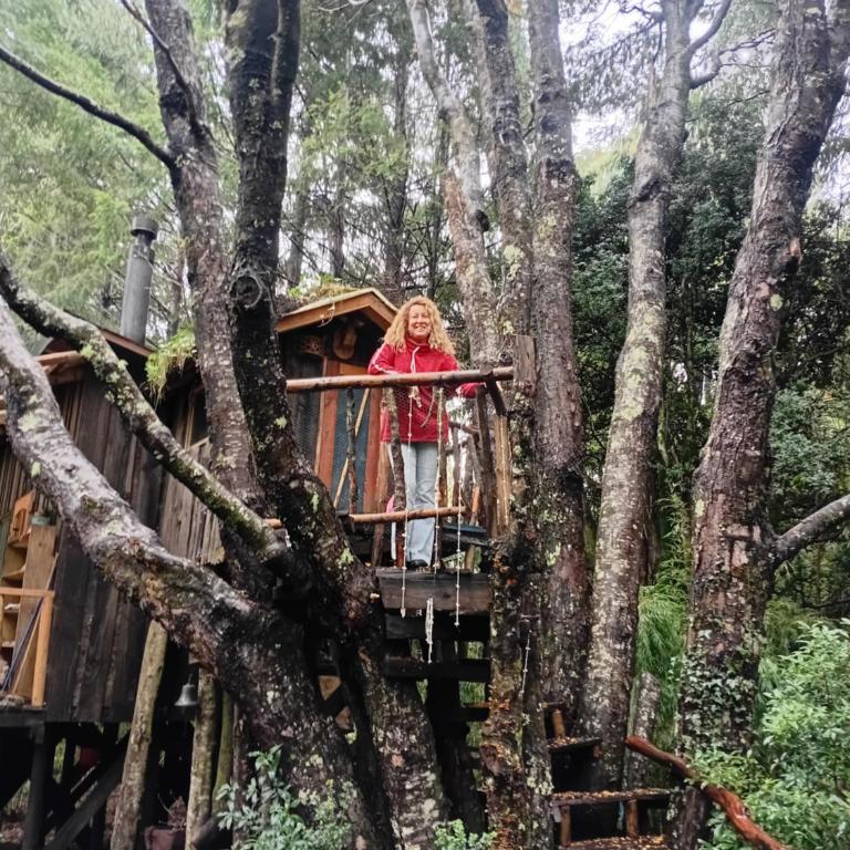 Pucón Volcano Forest SPA - Chalet de 1 dormitorio - 7