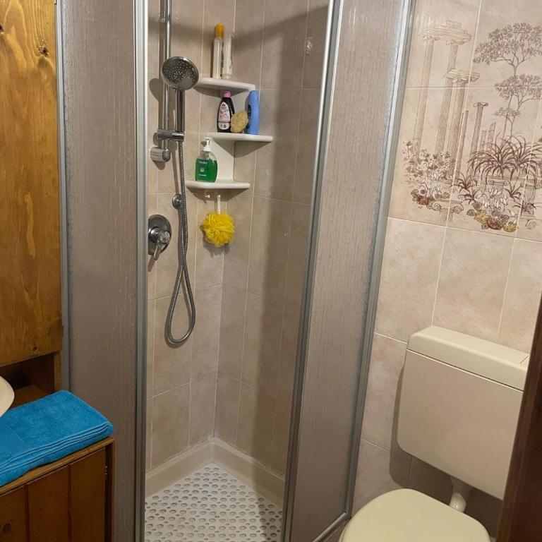 CASA LAGO MAGGIORE Tavern, living room, attic, bathroom - Appartamento con 1 Camera da Letto - 4