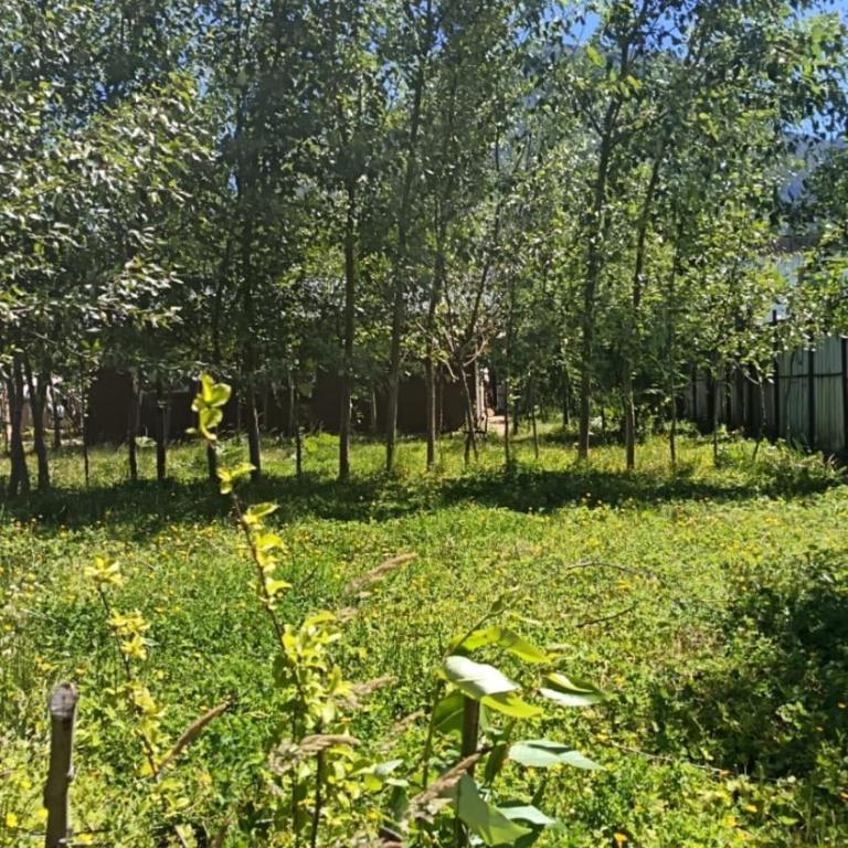 Cabaña Moderna para Desconectar - Casa de 2 dormitorios - 3