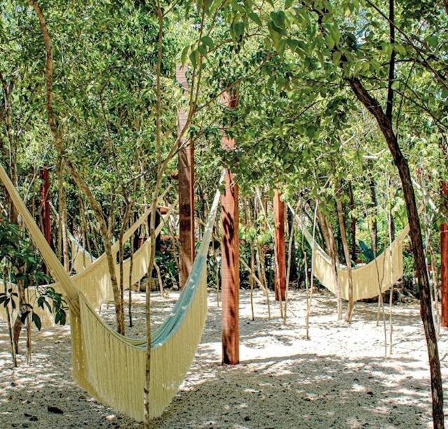 Casa De Lola Tulum - Casa de 2 dormitorios - 7