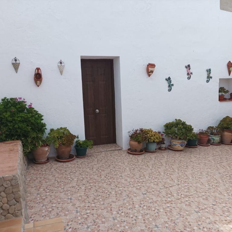 Casa Patria - Casa de 2 dormitorios - 28